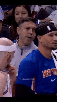 New York Knicks Nba GIF