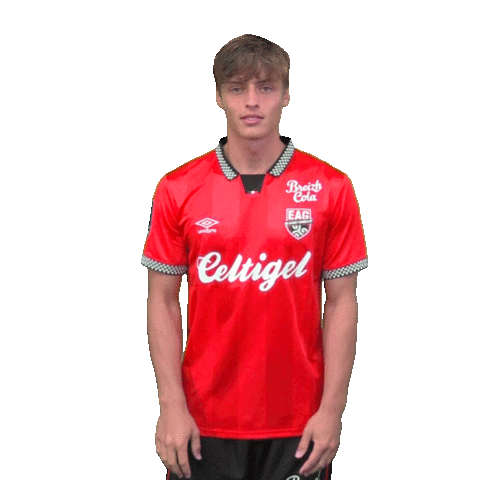 Ligue 2 Football Sticker by EA Guingamp
