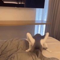 Vibe Vibing GIF
