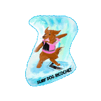 SurfDogRicochet  Sticker