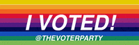 Voting Election Day GIF by TheVoterParty