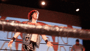 SHWAWrestling perth pro wrestling southern hemisphere wrestling alliance shwa shwa gif GIF