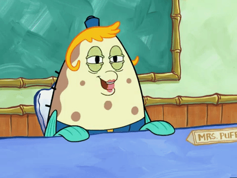 season 6 boating buddies GIF by SpongeBob SquarePants