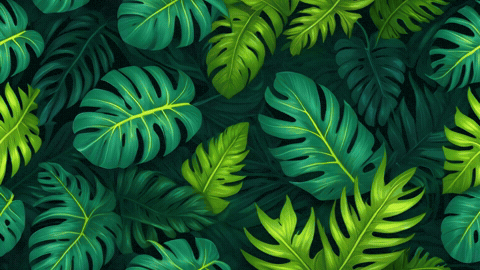GIF by TeaCosyFolk