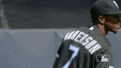 major league baseball sport GIF by MLB