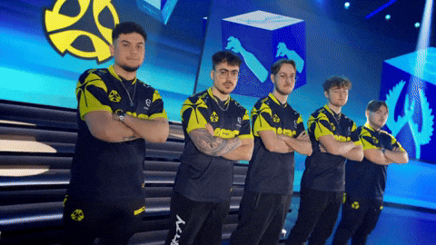 Team Esports GIF by BLAST