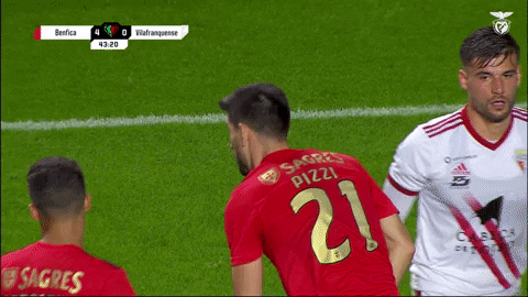 Sl Benfica Ok GIF by Sport Lisboa e Benfica
