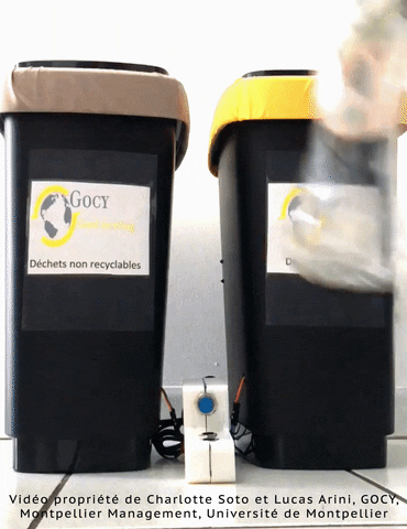 Rlecha34 giphyupload gocy GIF