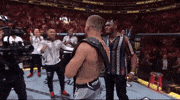 Mixed Martial Arts Sport GIF by UFC