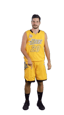 Basketball Swipe Sticker by ACSL - Austrian College Sports League