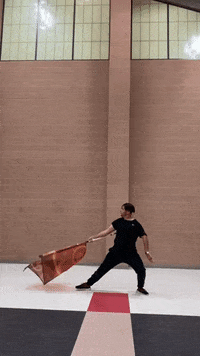 thatguywhospins flag spinning colorguard thatguywhospins GIF