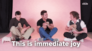 Zac Efron Puppies GIF by BuzzFeed