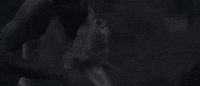 sacrifice GIF by Nick Hakim