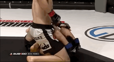 MonarchGlen17 giphyupload GIF