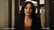 Nbc Season23 GIF by Law & Order
