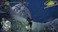 Relic Record #9 - Frost Islands - Monster Hunter