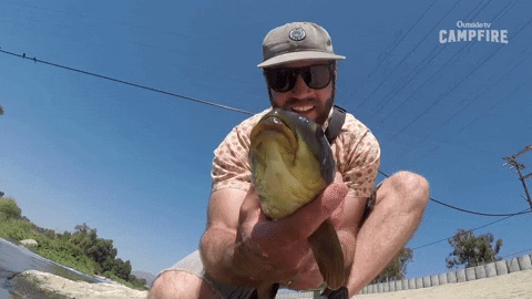Fish Fishing GIF by Outside TV