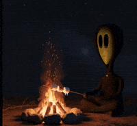 Camping Camp Fire GIF by Lonely Aliens