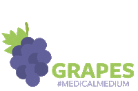 Fruit Heal Sticker by Medical Medium