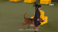 And A Crowd Favorite