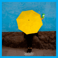 GIF by Subway Colombia