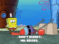 season 8 GIF by SpongeBob SquarePants