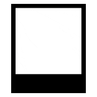 NorthBorneoCruises nbc sabah borneo kotakinabalu Sticker