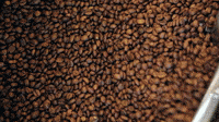 Berks Beans Coffee: We all deserve