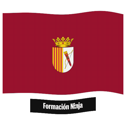 Comunidad Valenciana Flag Sticker by Formación Ninja