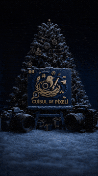 Film Wedding GIF by CuibulDePixeli