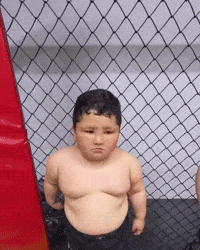 Panda Uzbek GIF