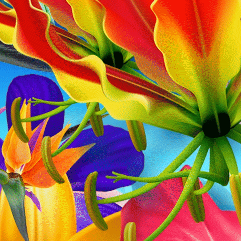 camila cabello GIF by NOW That's Music