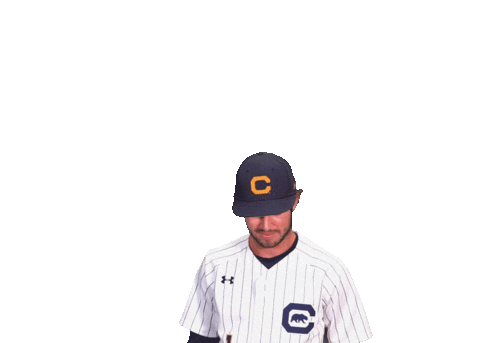 Uc Berkeley Baseball Sticker by Cal Athletics