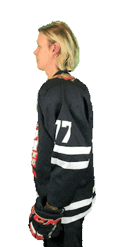 Hockeypunks Sticker by ledoritulys.lt