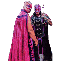 Lucha Libre Wrestling Sticker
