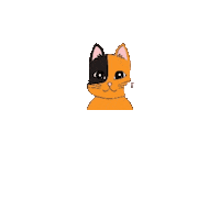 elistorycriativo cat cats gatinho elistorycriativo gatinhos Sticker