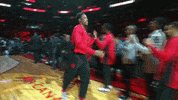 Toronto Raptors Tor GIF by NBA
