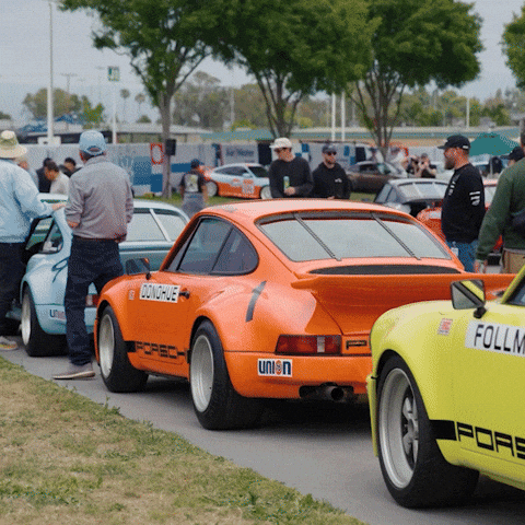 Race Porsche GIF by Dunlop Tire NA