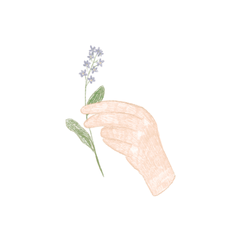 design love Sticker