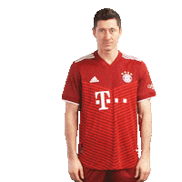 Come In Robert Lewandowski Sticker by FC Bayern Munich