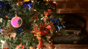 zelt GIF by CONDESADE