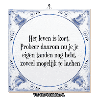 Humor Moment Sticker by Tegelspreuken.nl