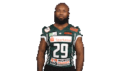 American Football Hello Sticker by Schwäbisch Hall Unicorns