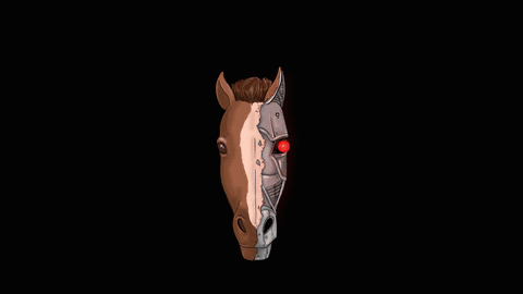Horse Racing GIF by HRI