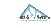 Trex1 Sticker by Triangle Experts