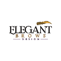 Brows Microblading Sticker by MasterChioMoreno