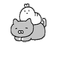 Cat 고양이 Sticker