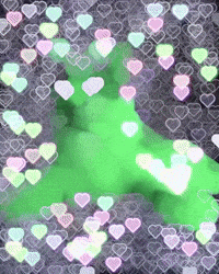 Cat GIF