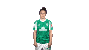 Stephanie Werderfrauen Sticker by SV Werder Bremen