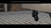 LandRover horse discovery equestrian land rover GIF